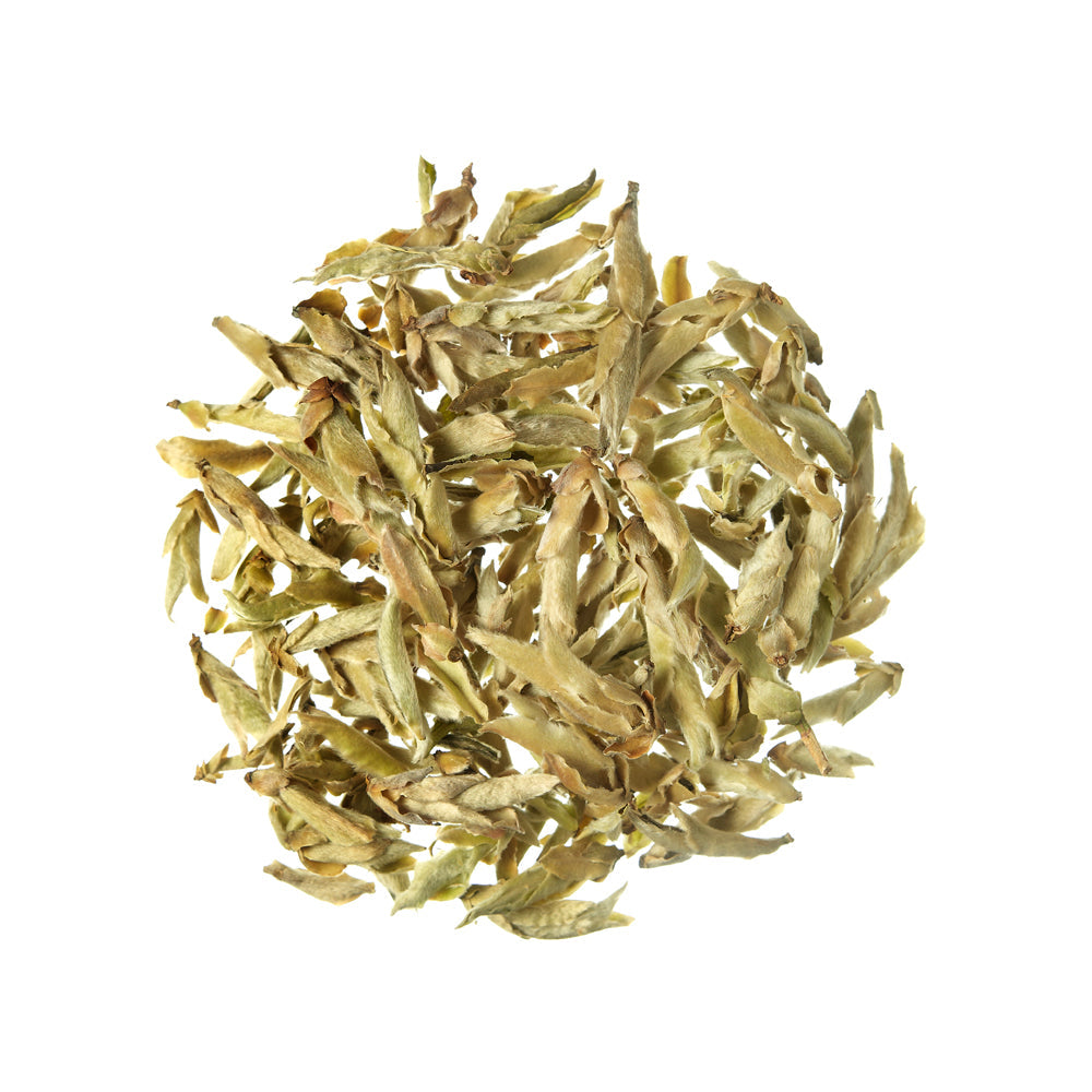 Tè Bianco Ya Bao Silver Buds Tè Bianco Cina - 100 g